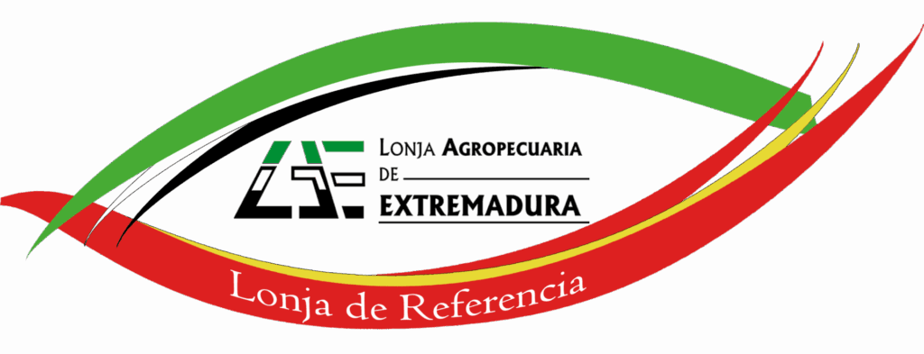 Logo lae lonja de referencia 2023 sin el nacional