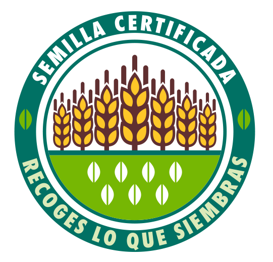 Semilla certificada
